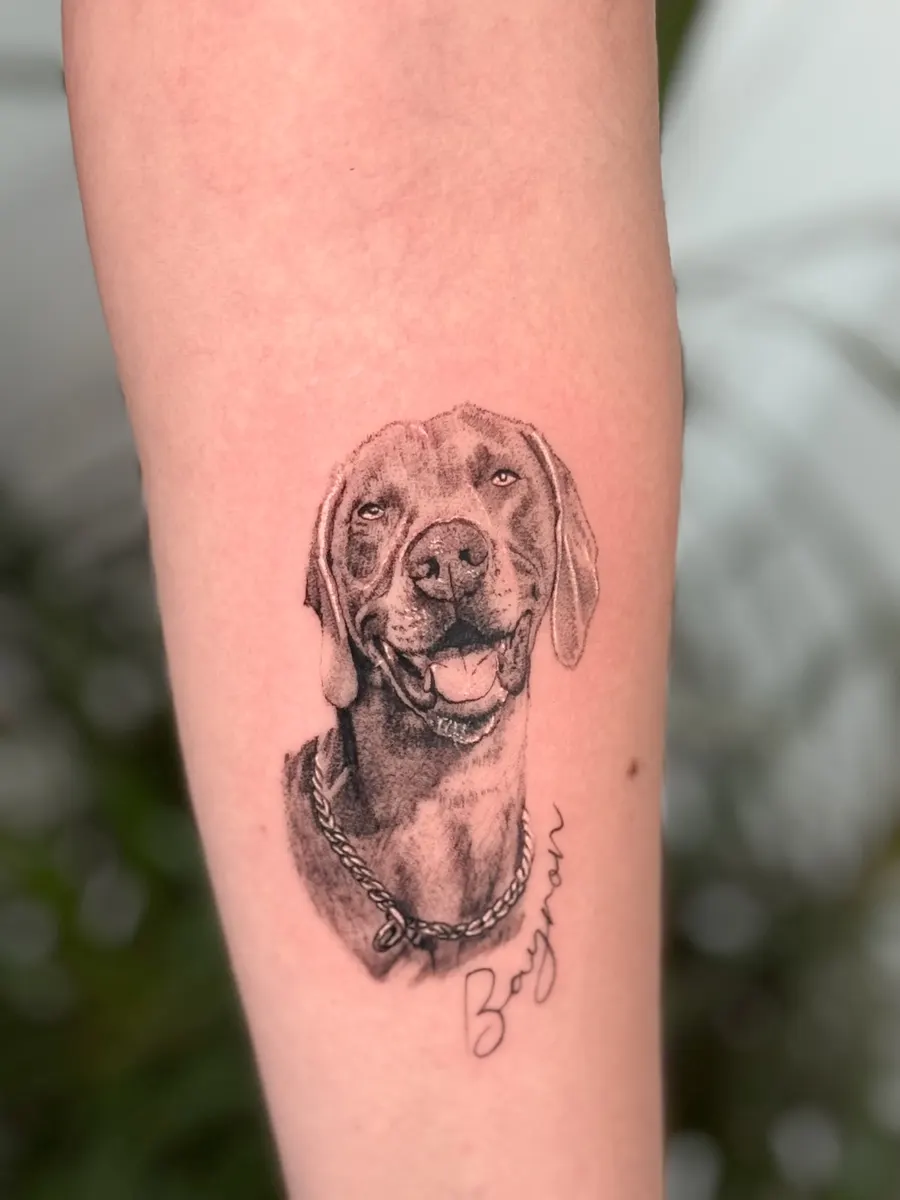 Weimaraner portrait in black and grey micro-realism on the forearm, with the name Bayron in fine script